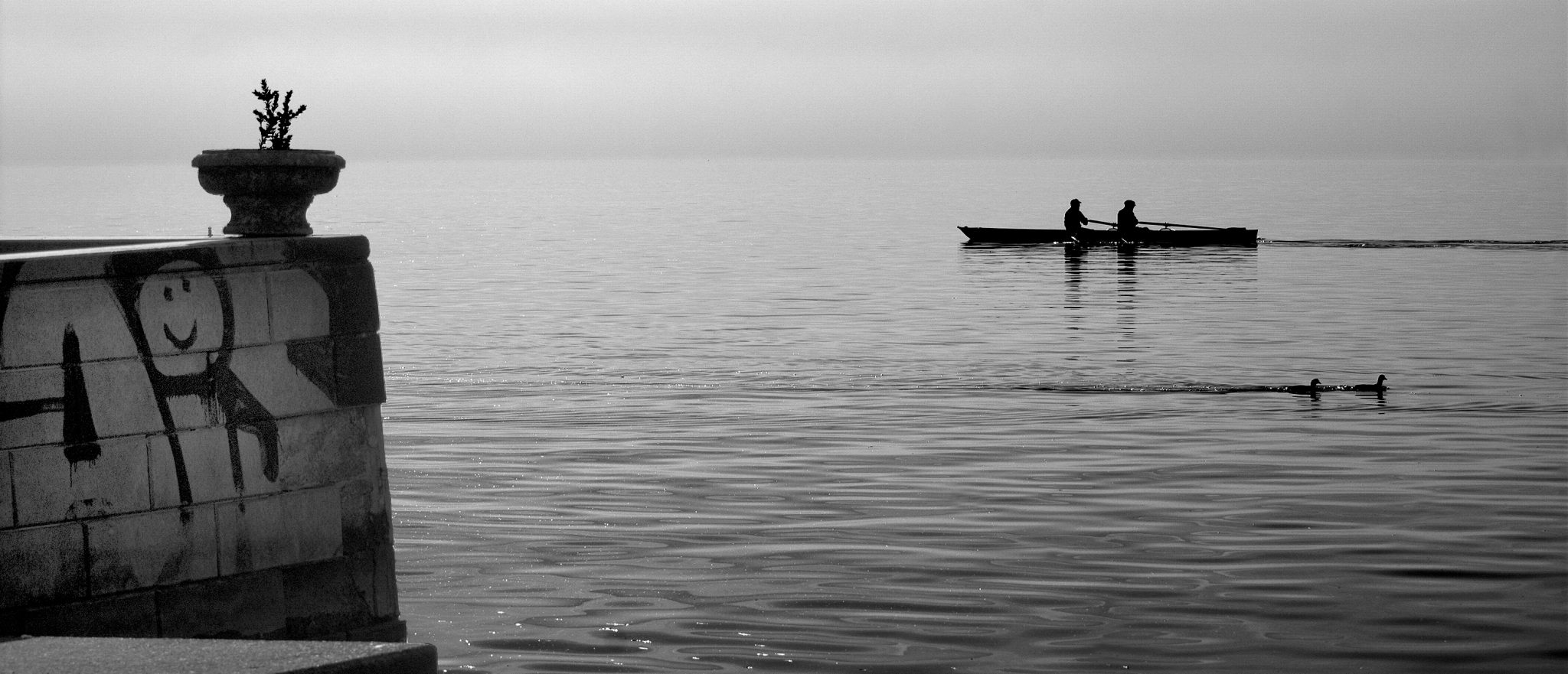 l_DSC_4528_b