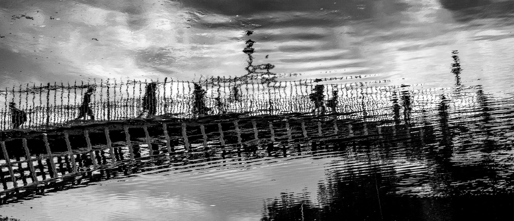 r_p_DSC_8837