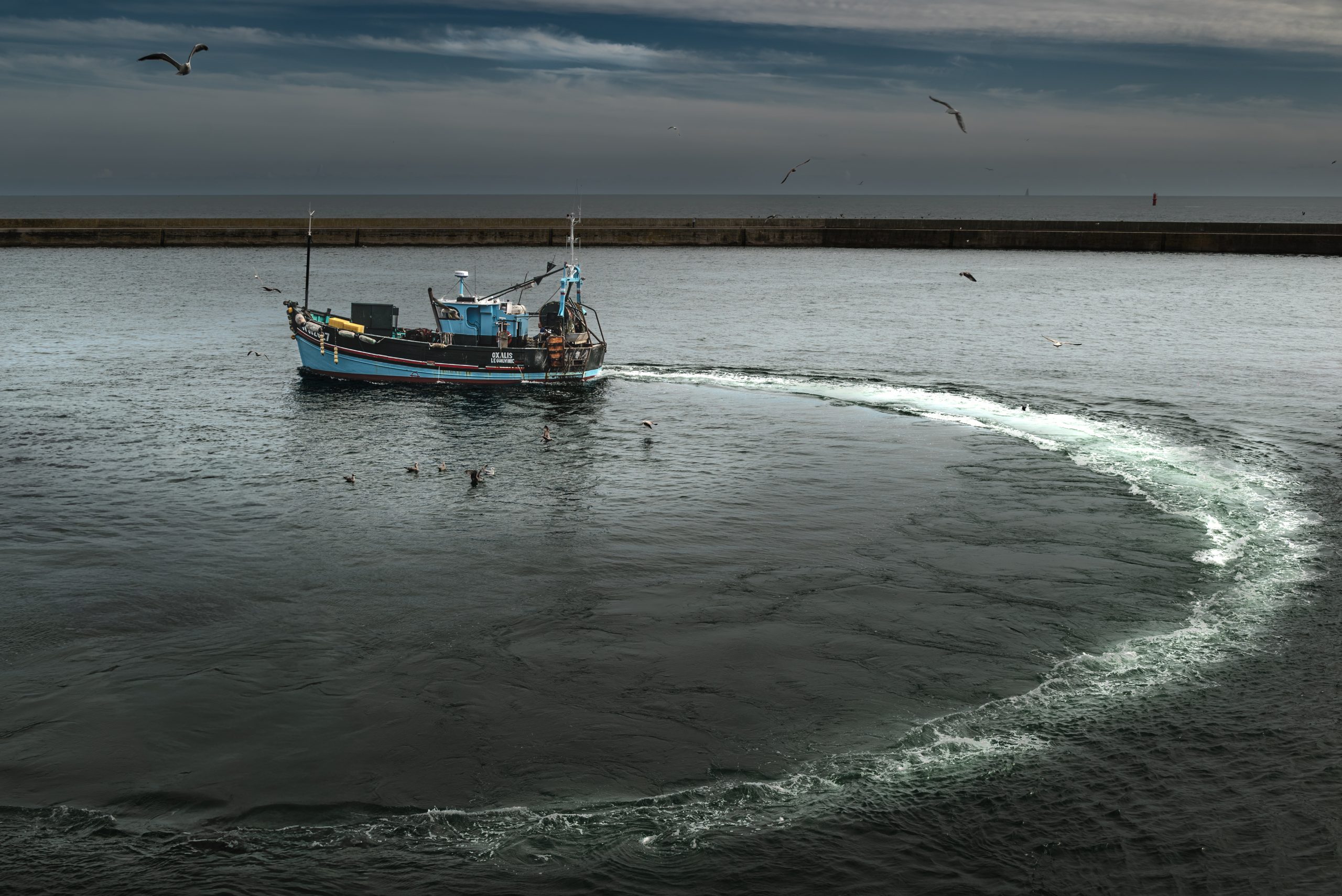 DSC_6772